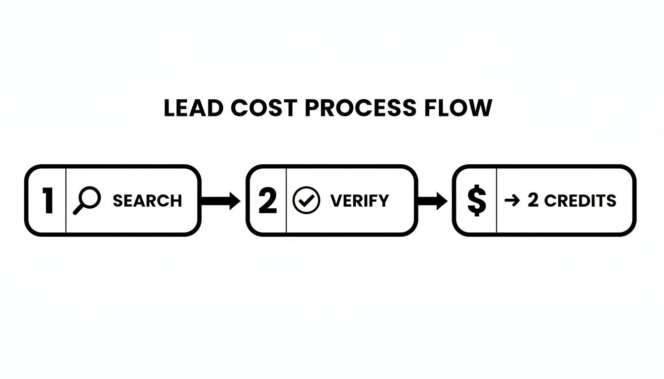 Diagram showing a lead cost process flow: Step 1 Search, Step 2 Verify, leading to 2 Credits.